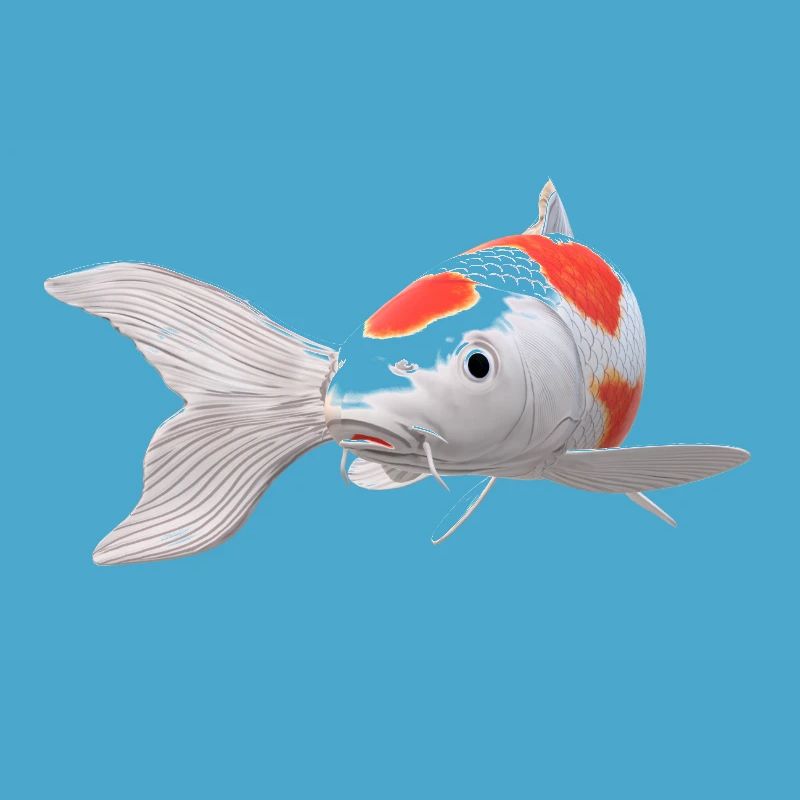 3D Koi