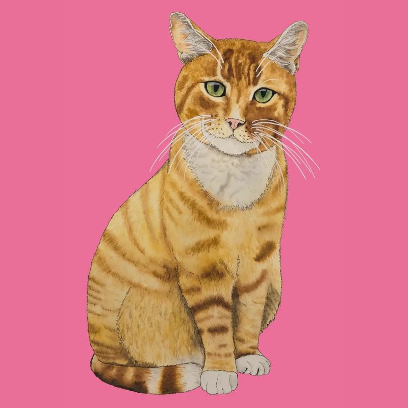 rote Katze sitzend