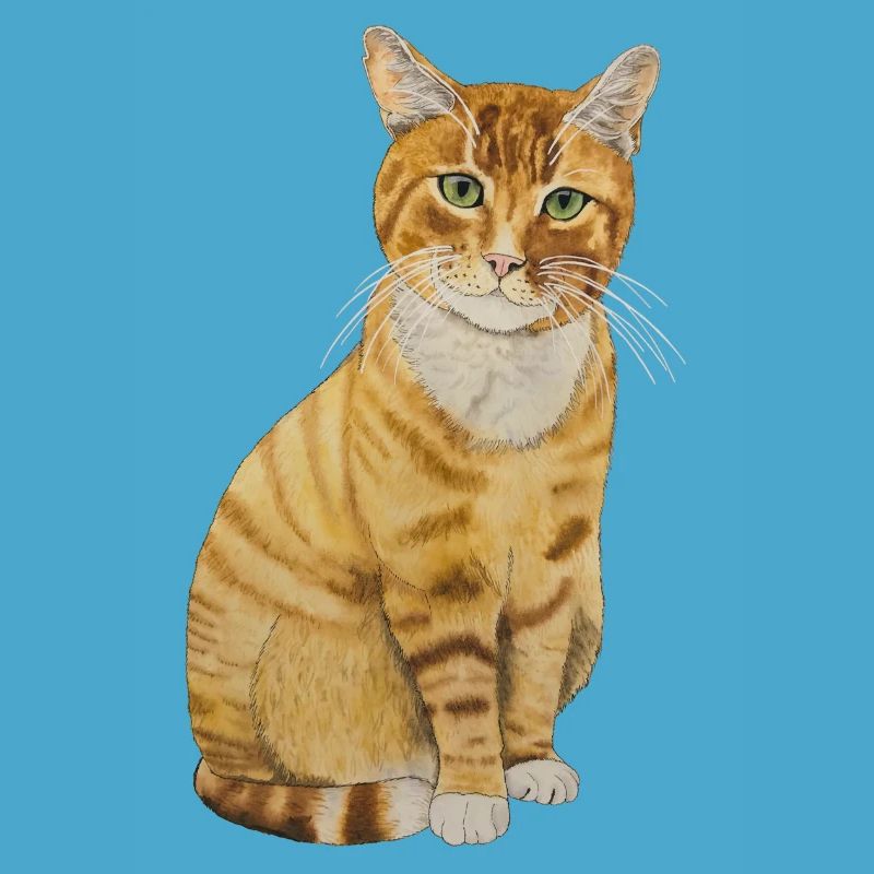 rote Katze sitzend