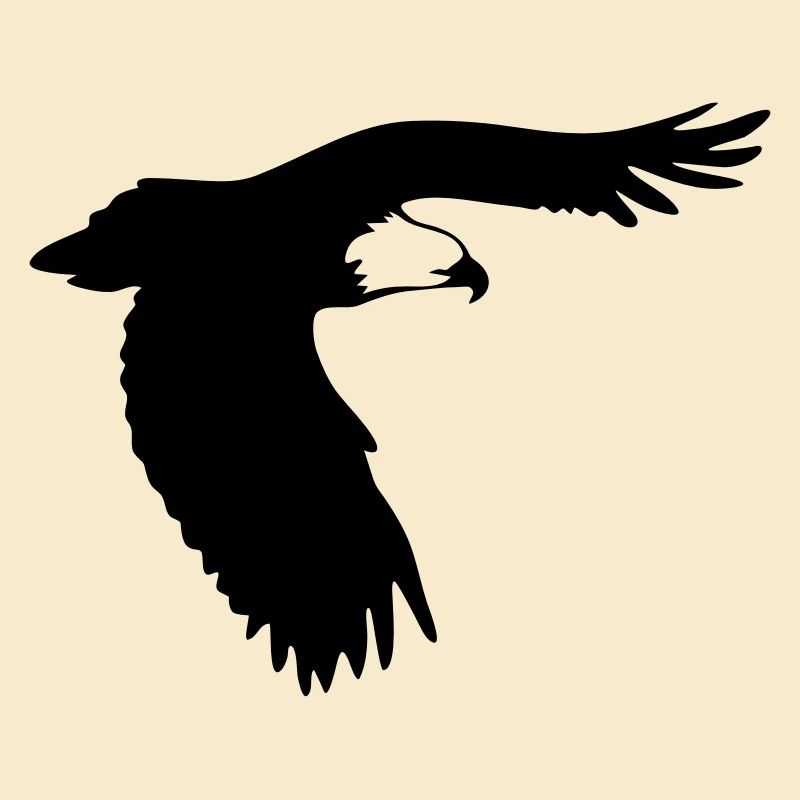 Adler im Flug