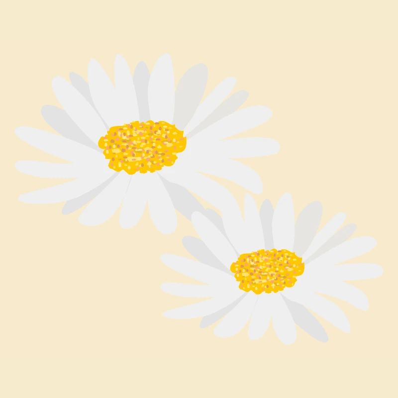 Blume Gänseblümchen