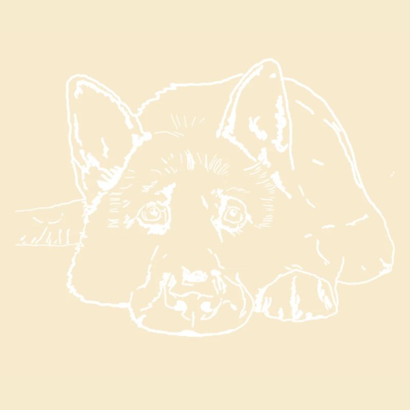Chien de berger