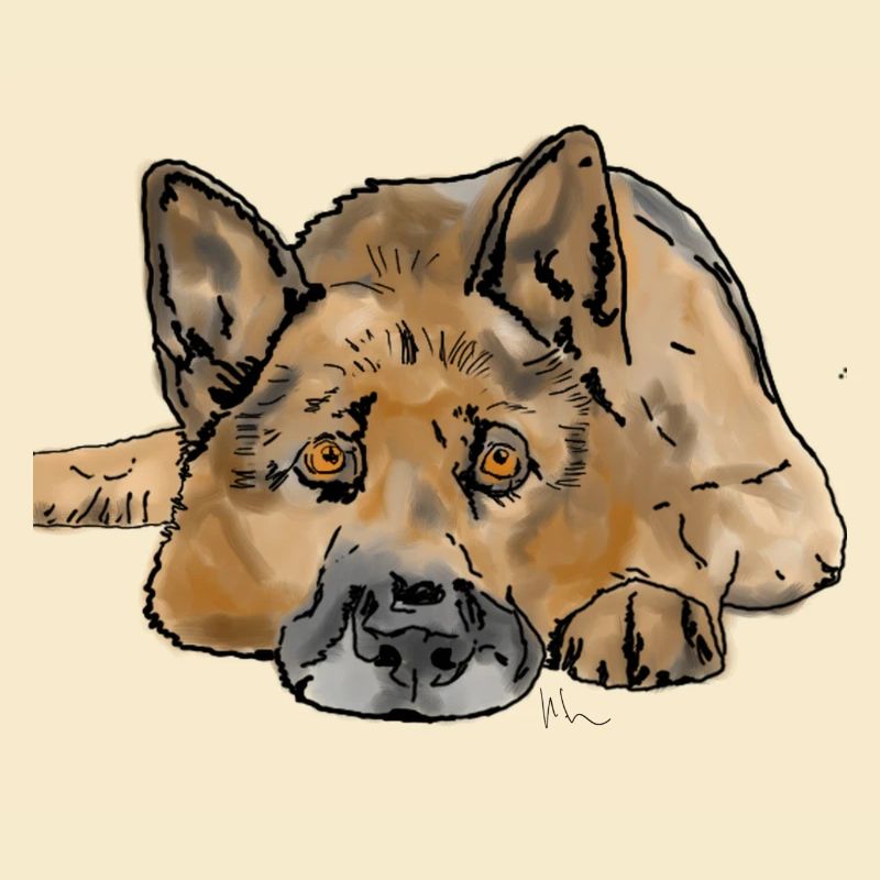 Deutscher Schäferhund