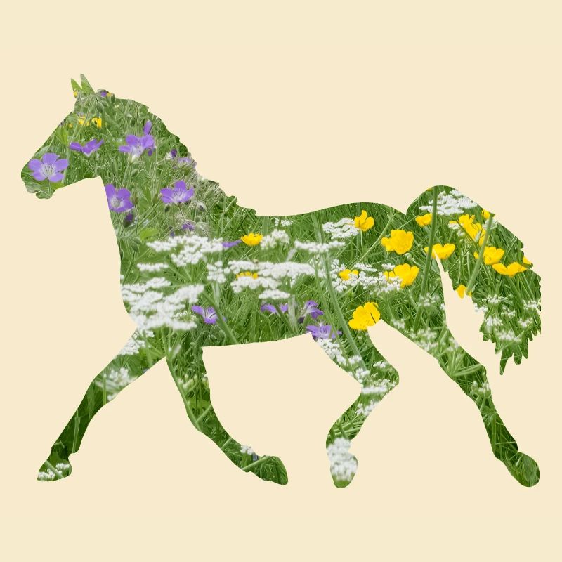Pferd