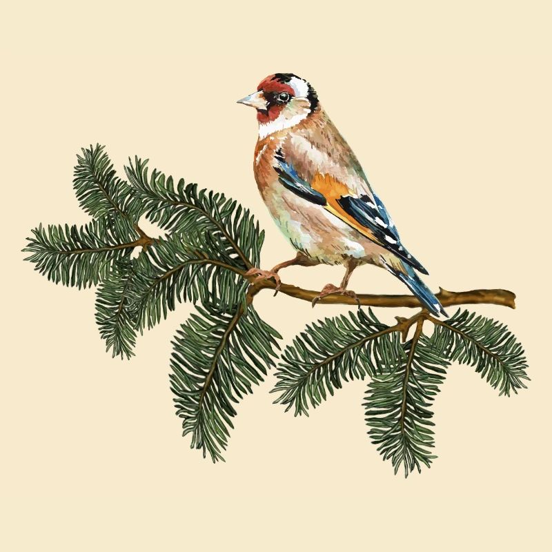 Bunter Vogel
