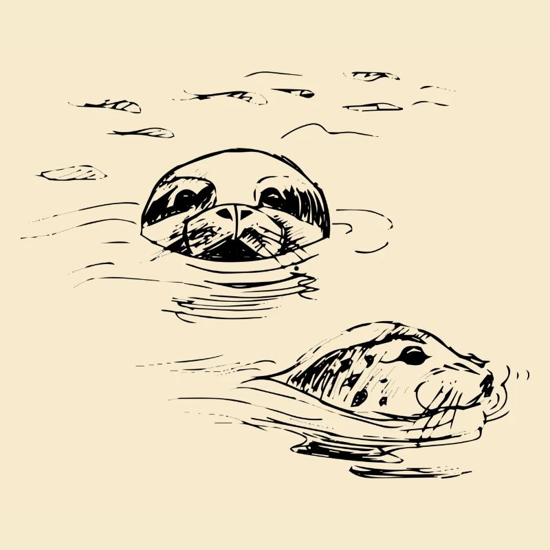 hand drawn seals, Shetland