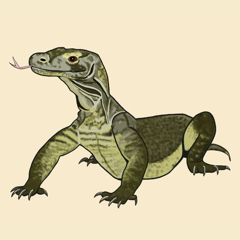 Komodowaran Varanus komodoensis Rieseneidechse