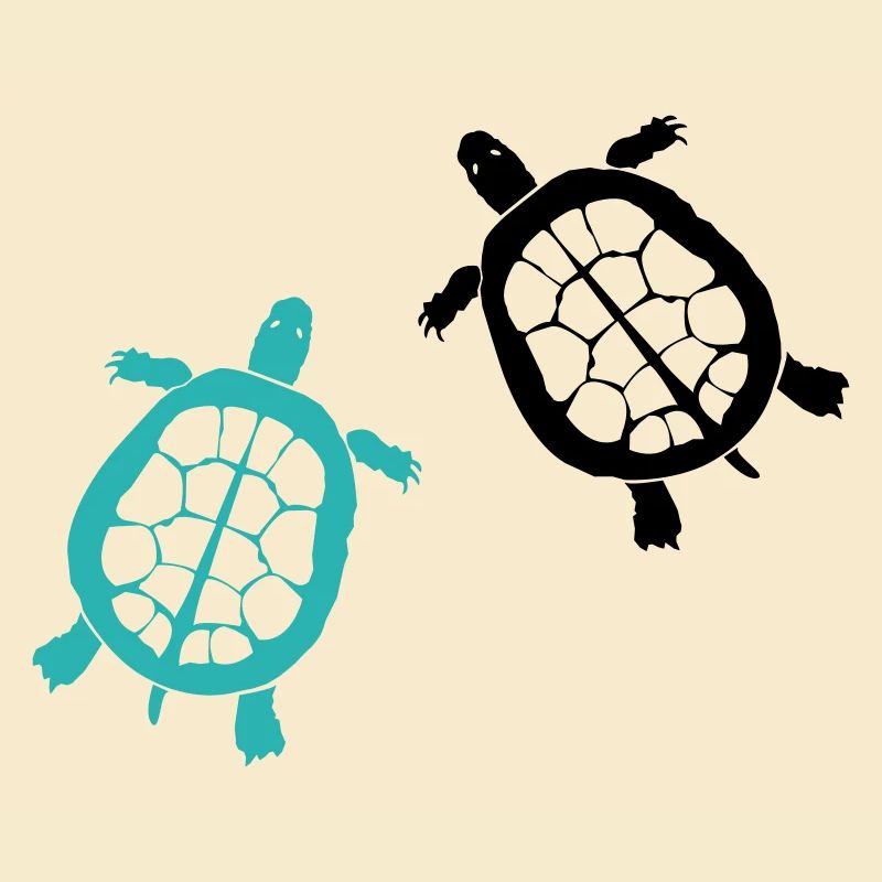 Turtle 2