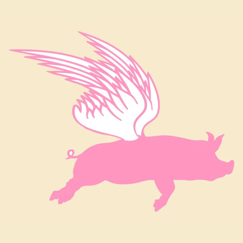 When Flying Wings Flying Pigs Can Fly