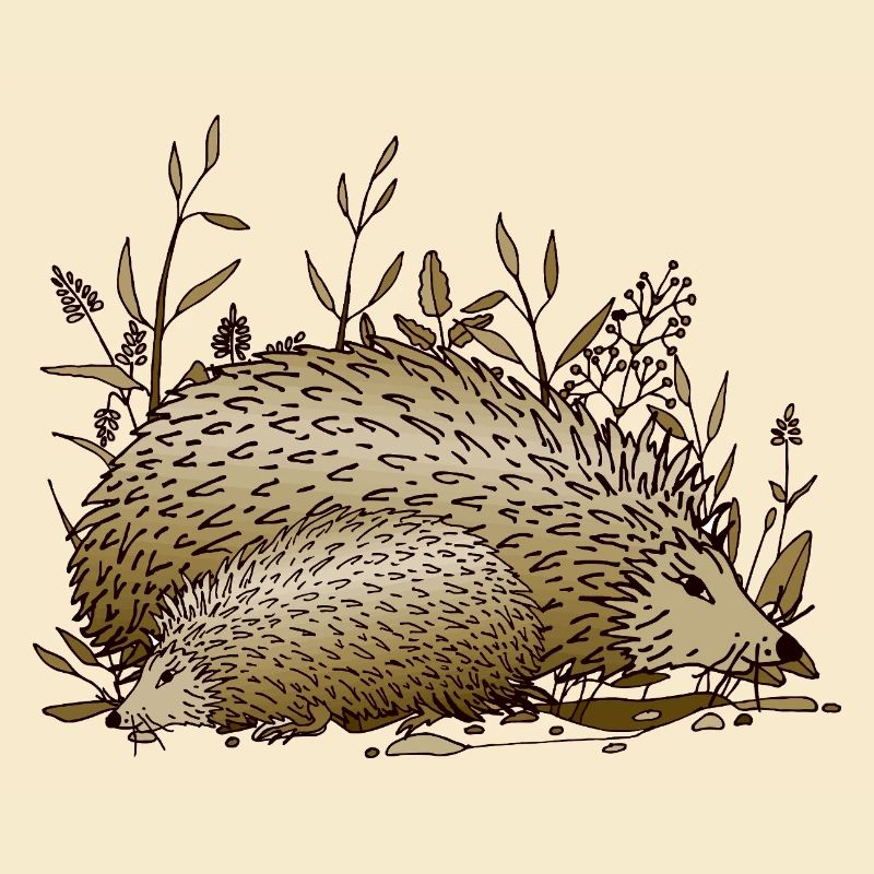 Igel