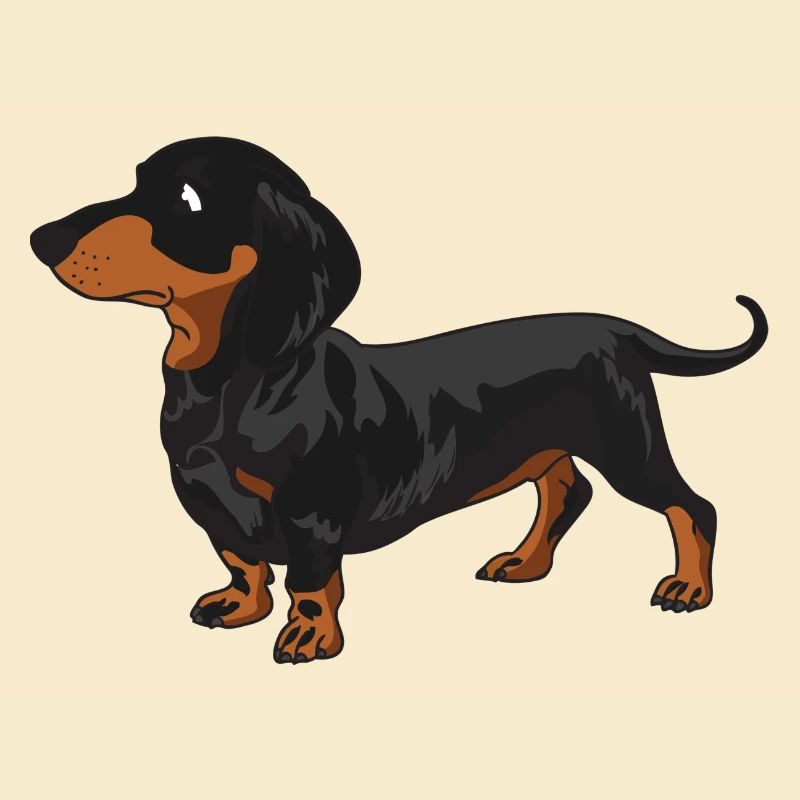 Dachshund