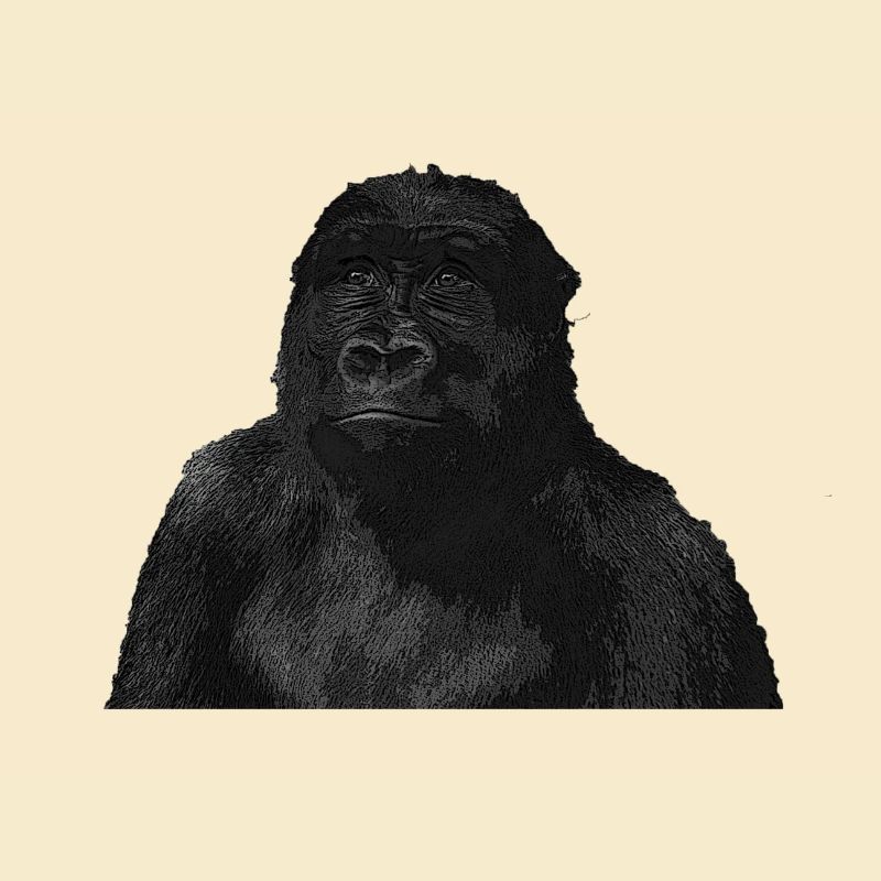 Affe