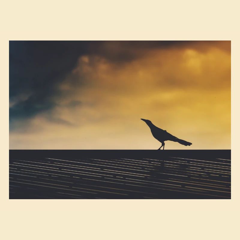 Crow exploring
