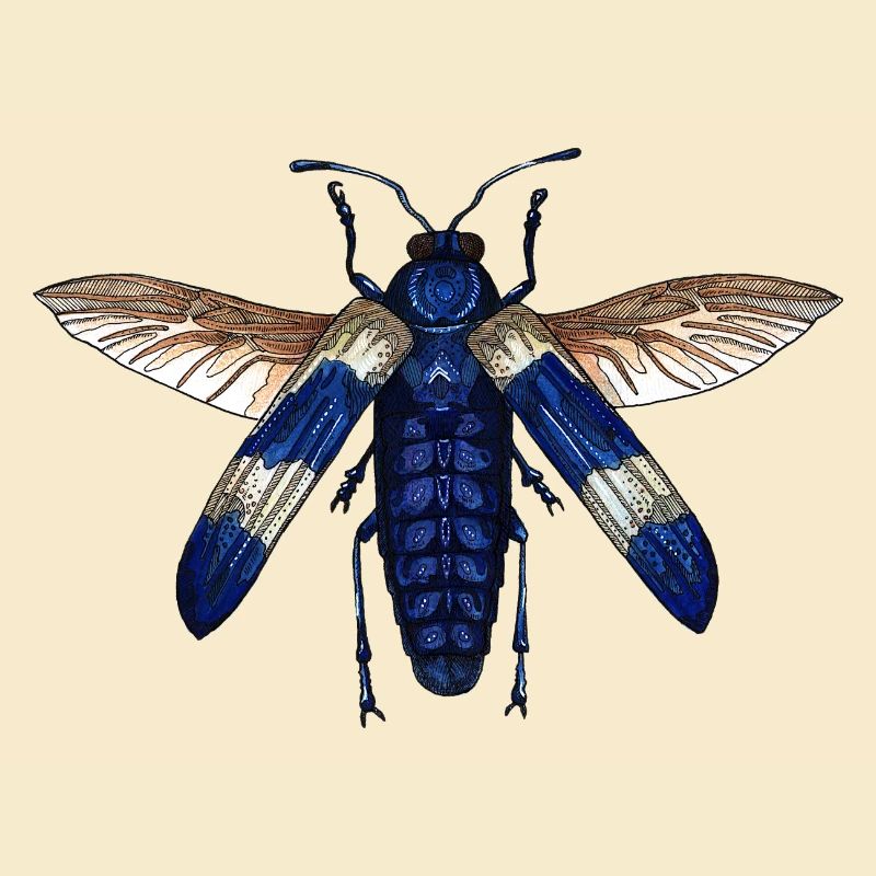 Großer blauer