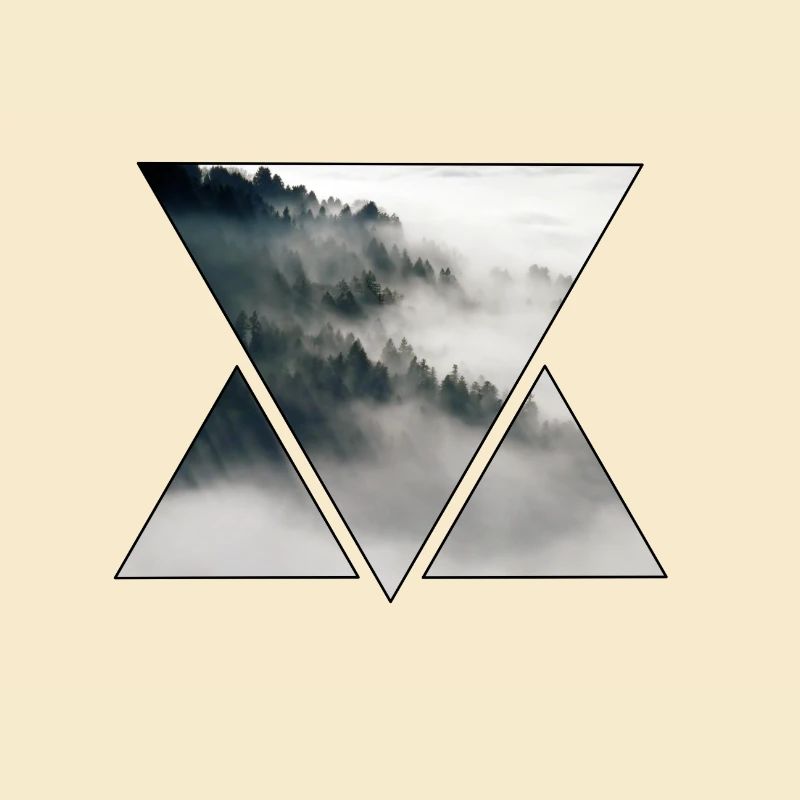 Triangle Brouillard et Forêt
