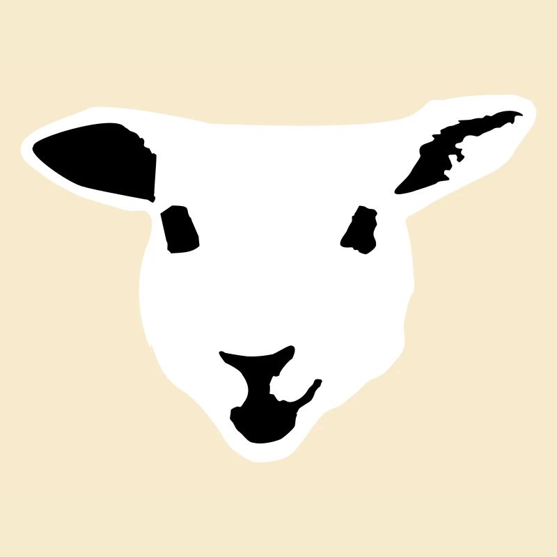 Schaf, Lamm