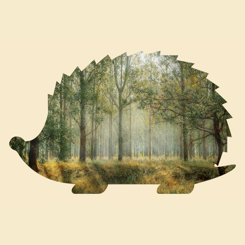 forest 9 hedgehogs with forest