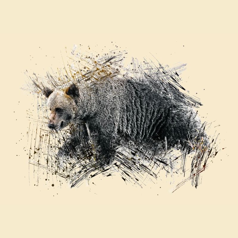 Bär