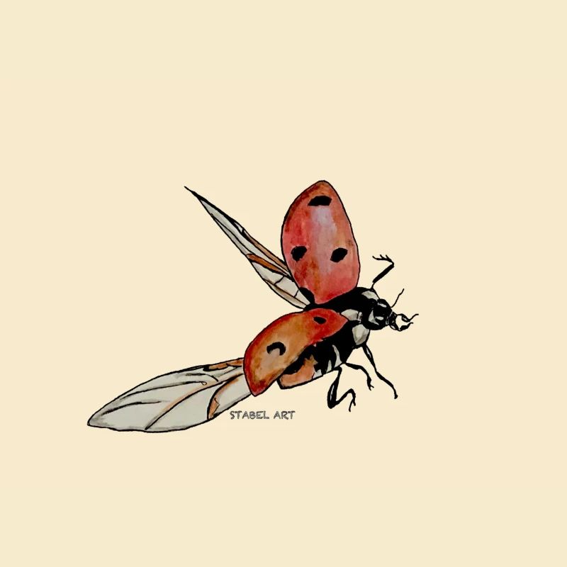Marienkäfer/ Ladybug