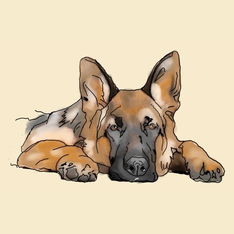 Schäferhund
