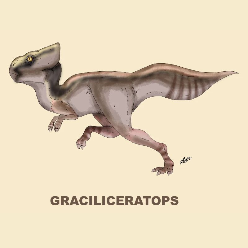 GRACILICERATOPS