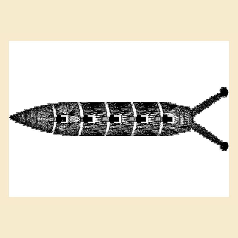 Kackschnecke