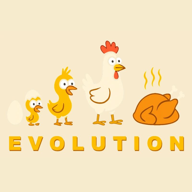 Evolution Chicken Broiler Chicken Funny