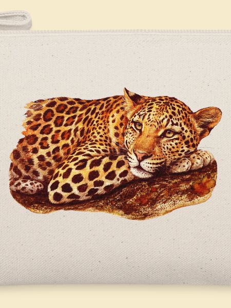 liegende Leopardin, raubkatzen