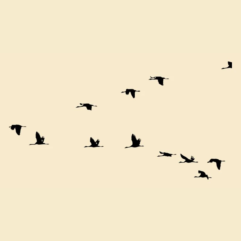 Zugvögel