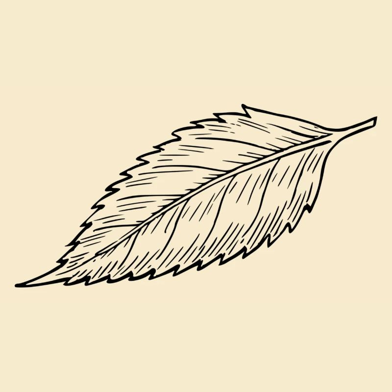 Blatt