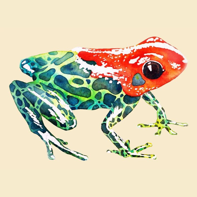 Frog with a red head