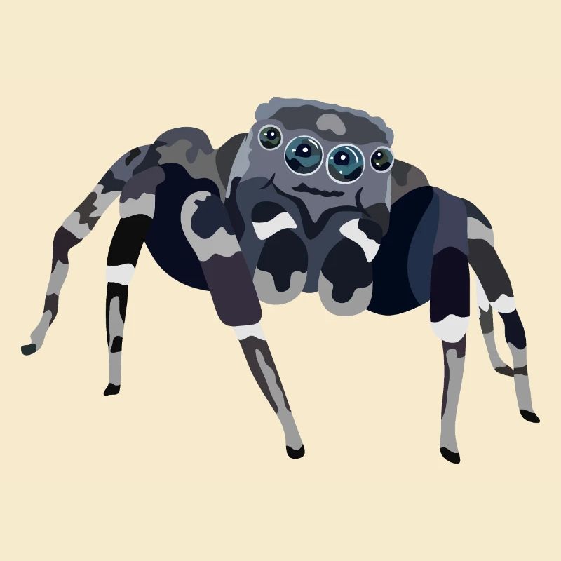 Spinne - Spider