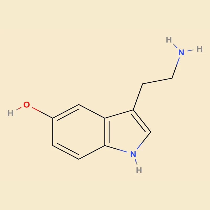 Serotonin Molecule - Colored Structural Formula