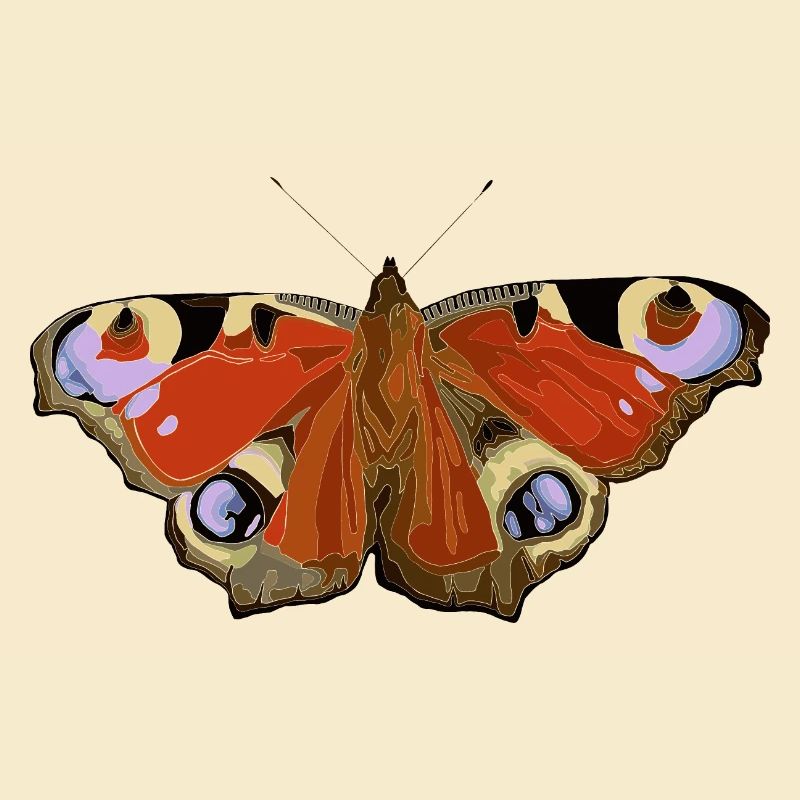 Schmetterling