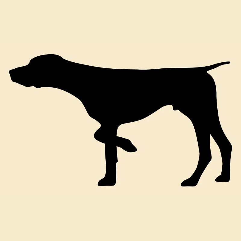 Jagdhund Deutsch Kurzhaar
