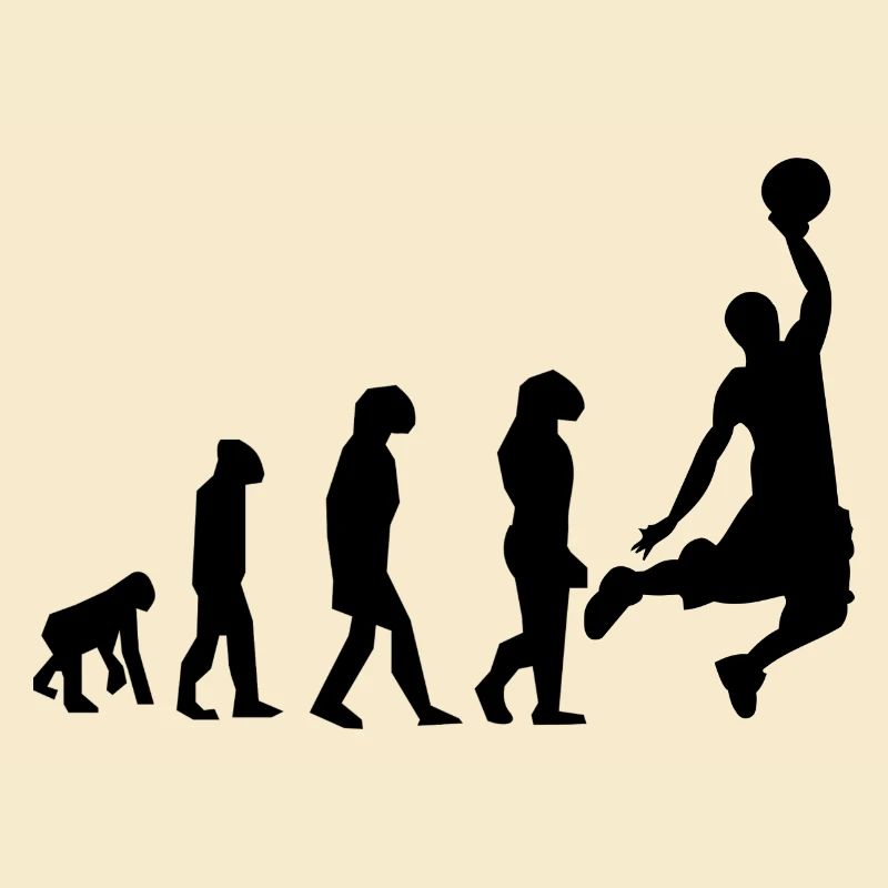 évolution basket