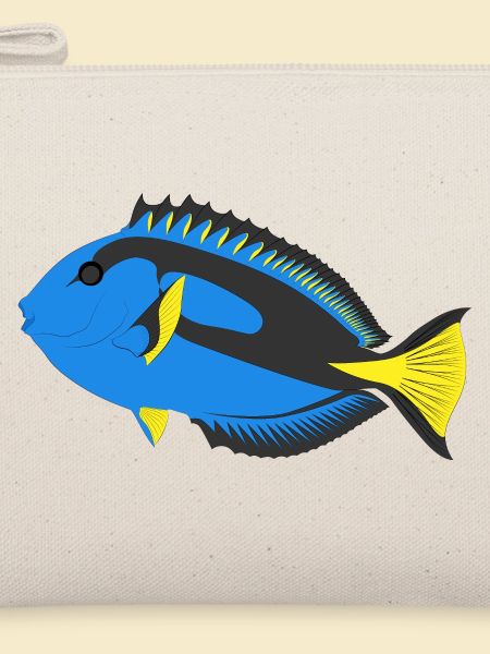 paletten doktorfisch aquarium fisch