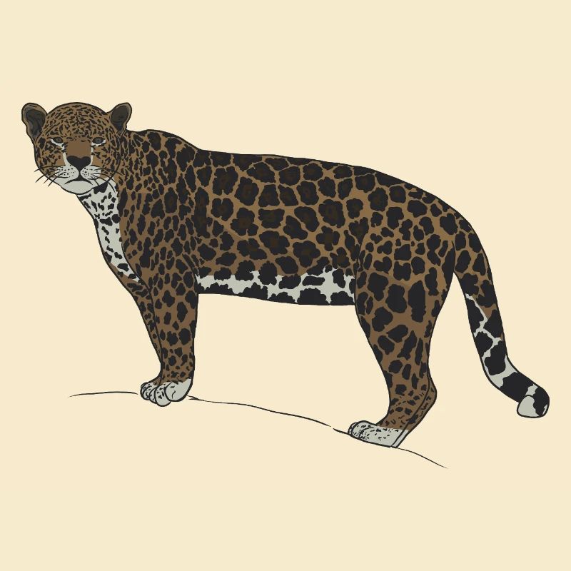 Jaguar-Blick