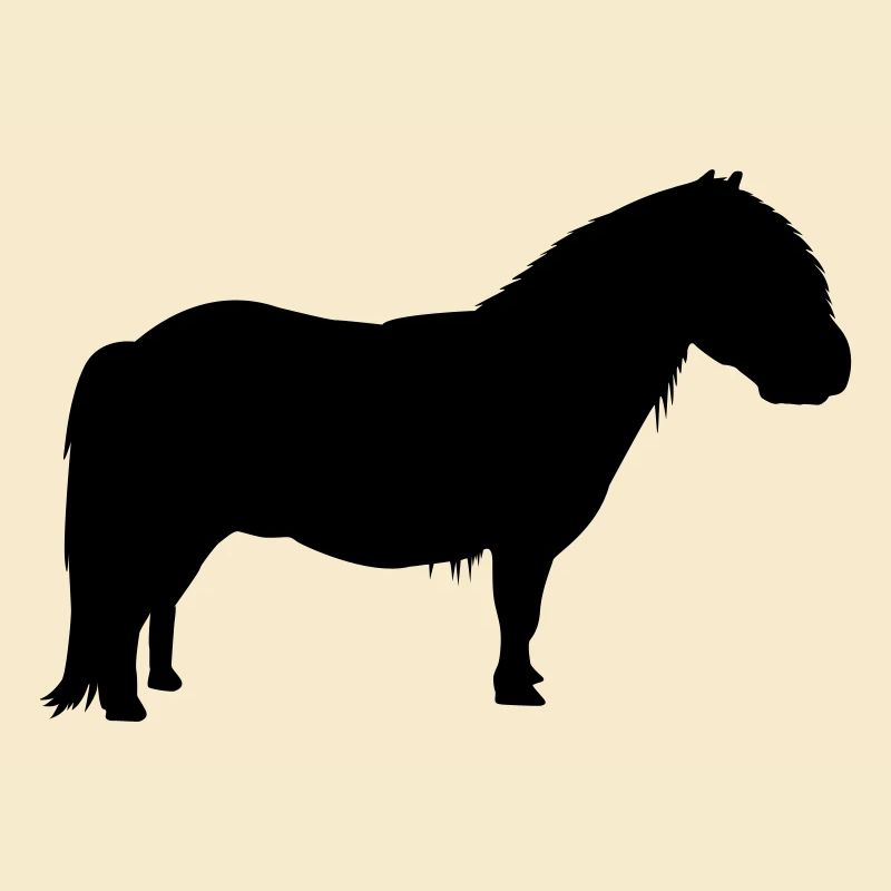 Shetty Shetland Shetlandpony