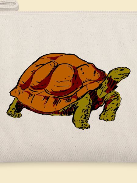 Schildkröte