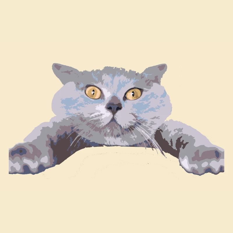 Katze -