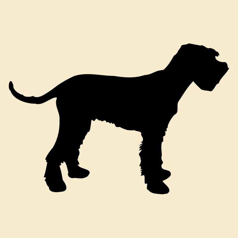 schnauzer géant