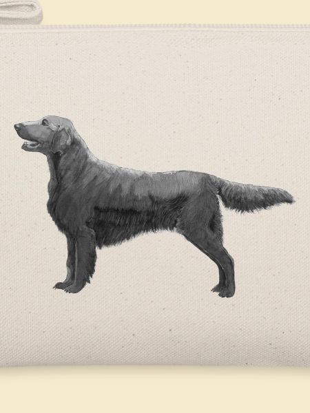 Flatcoated Retriever