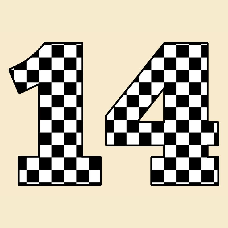 Number 14 plaid