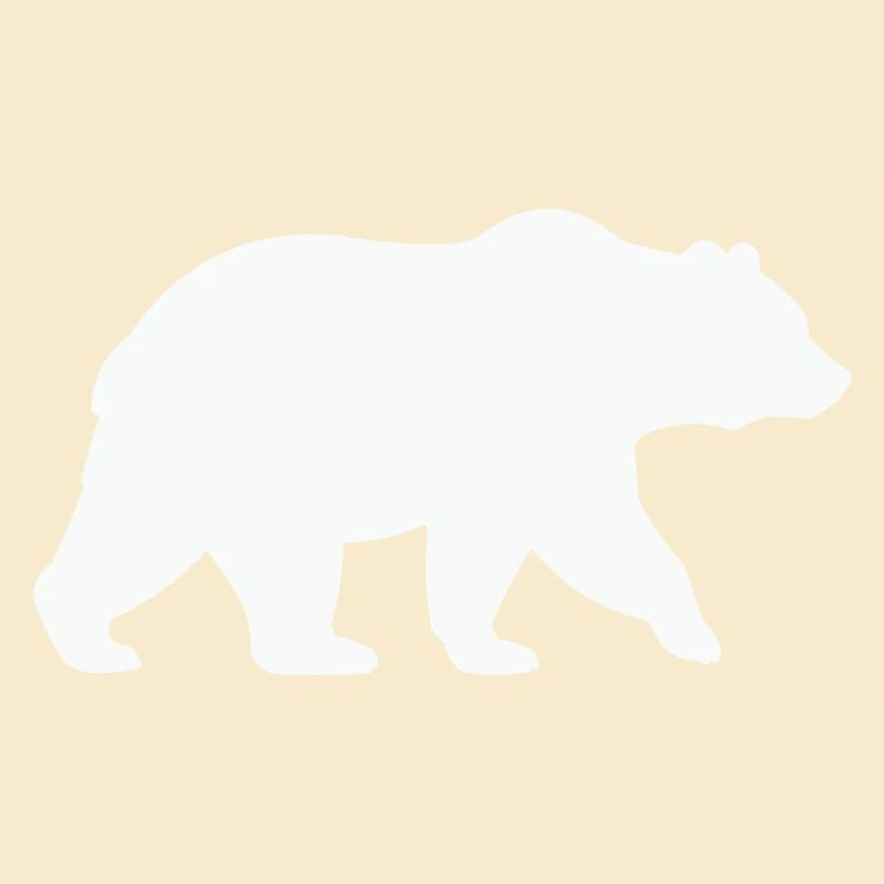 baer-