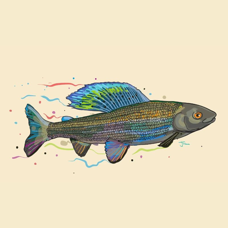 Chromatischer irisierender Fisch – Äsche