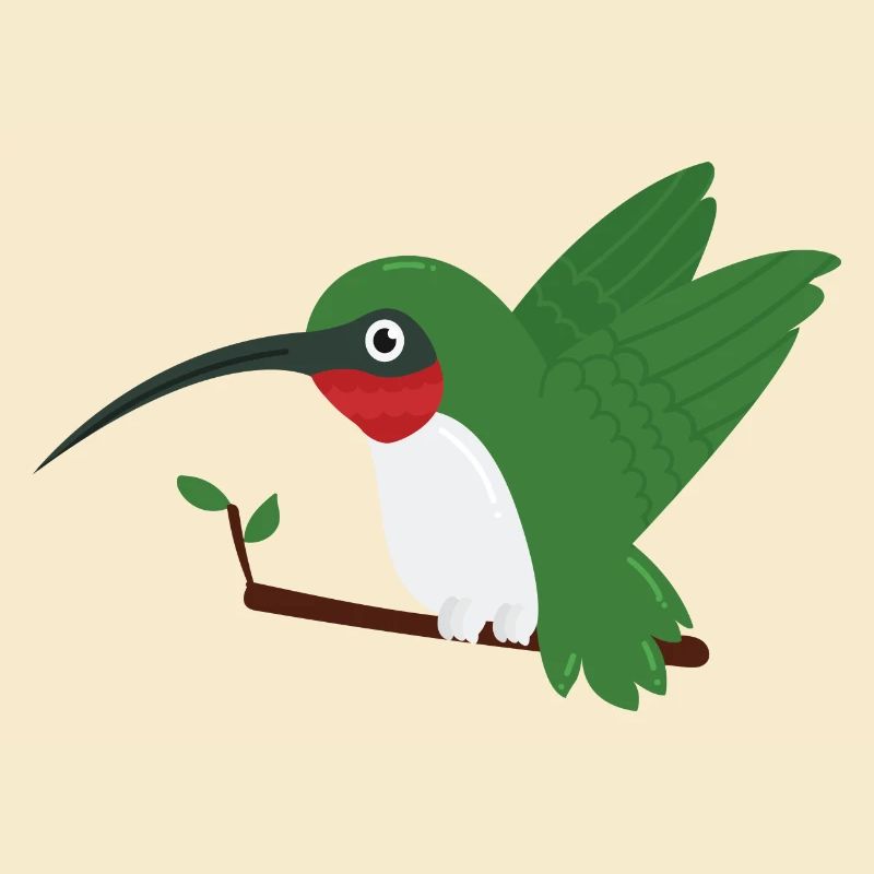 Kolibri