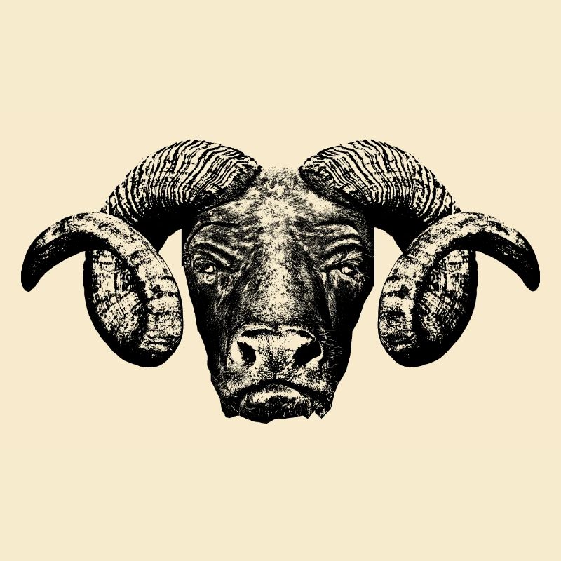 Minotaur / Head