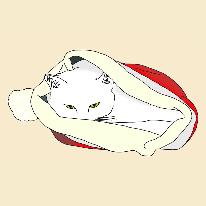 Chat de Noël