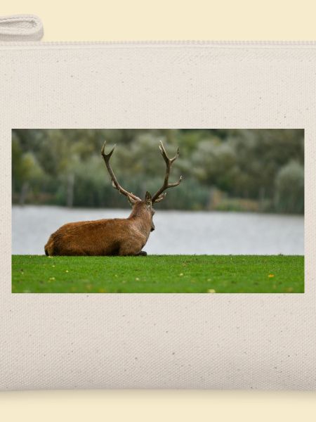 Hirsche am Ufer des Sees